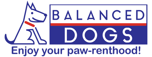 balanced-dog-training-brooklyn-rec