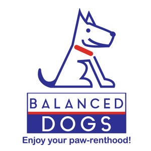 BaalancedDogs SQ Color fondo azul_1