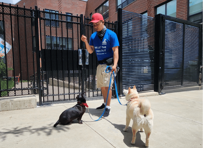 Walk & Training image